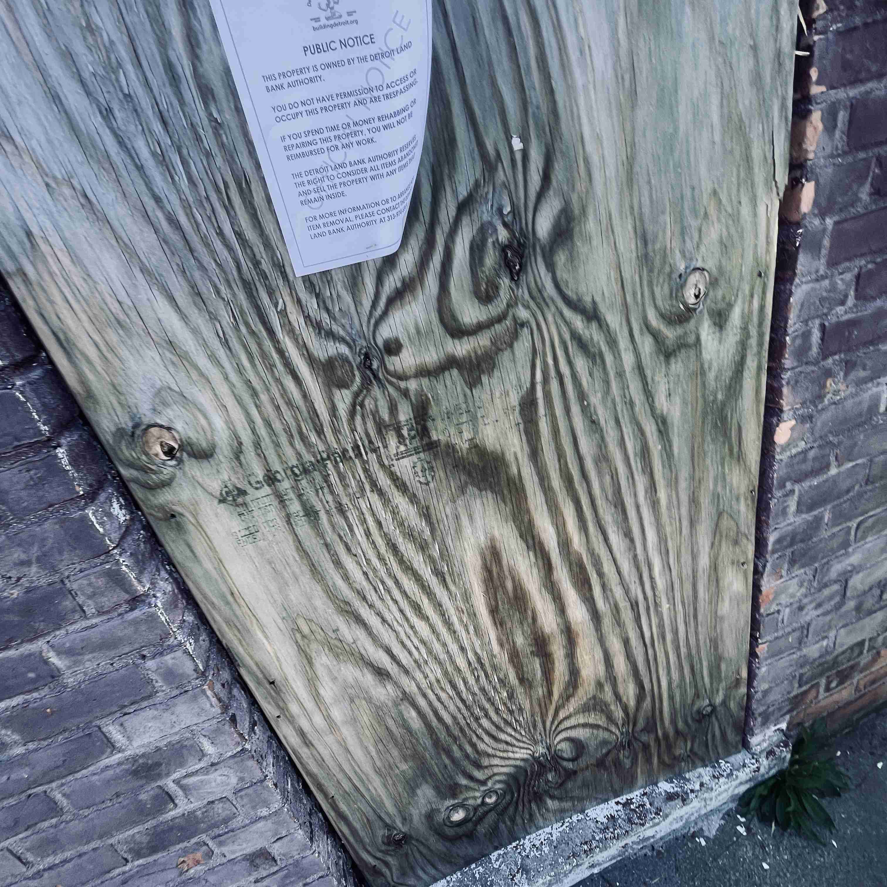 13530 Sorrento (66).jpg